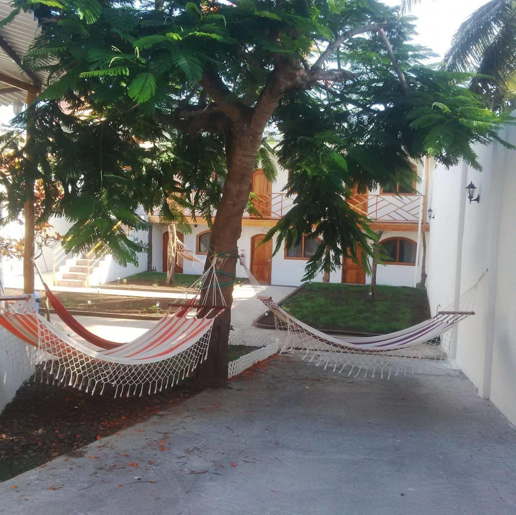Hostal White House Galapagos Puerto Ayora  Eksteriør billede