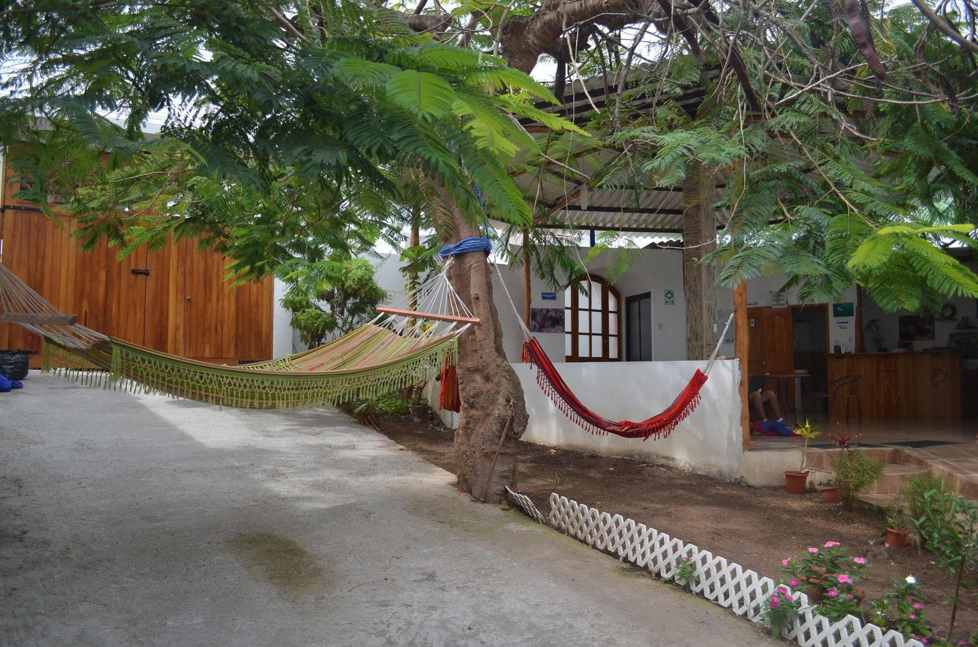 Hostal White House Galapagos Puerto Ayora  Eksteriør billede